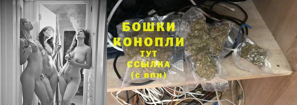 ПСИЛОЦИБИНОВЫЕ ГРИБЫ Волоколамск