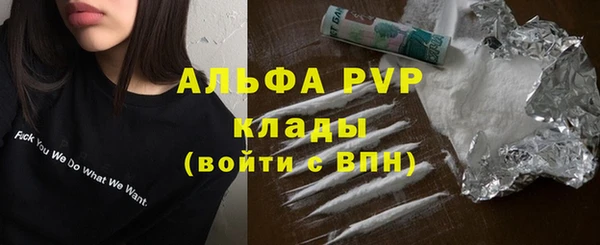 стаф Володарск