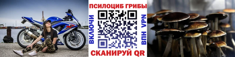 Псилоцибиновые грибы мицелий  Тимашёвск 